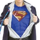 Illustration for article titled Superheroes Dont Have To Do It In Tights, Says Chabon